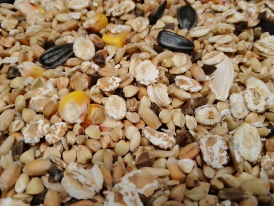 Корм, мешанка для крыс, щурів, пацюків,мішанина, Валерія та Хвости,3кг