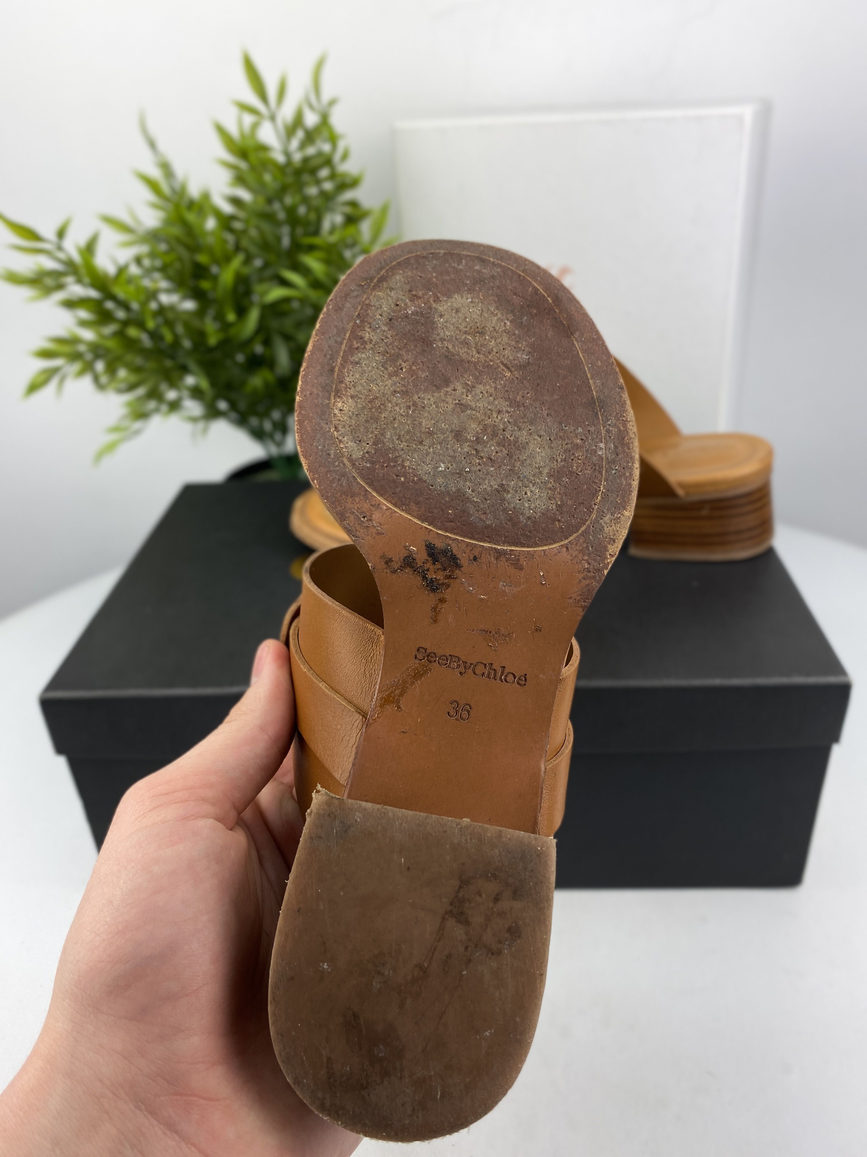 Bardzo dobre / buty sandały mule / See by Chloé / Calf Hana / r36 n51a