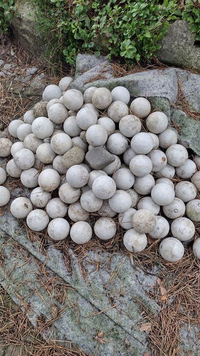 Ozdobne kamienie do ogrodu