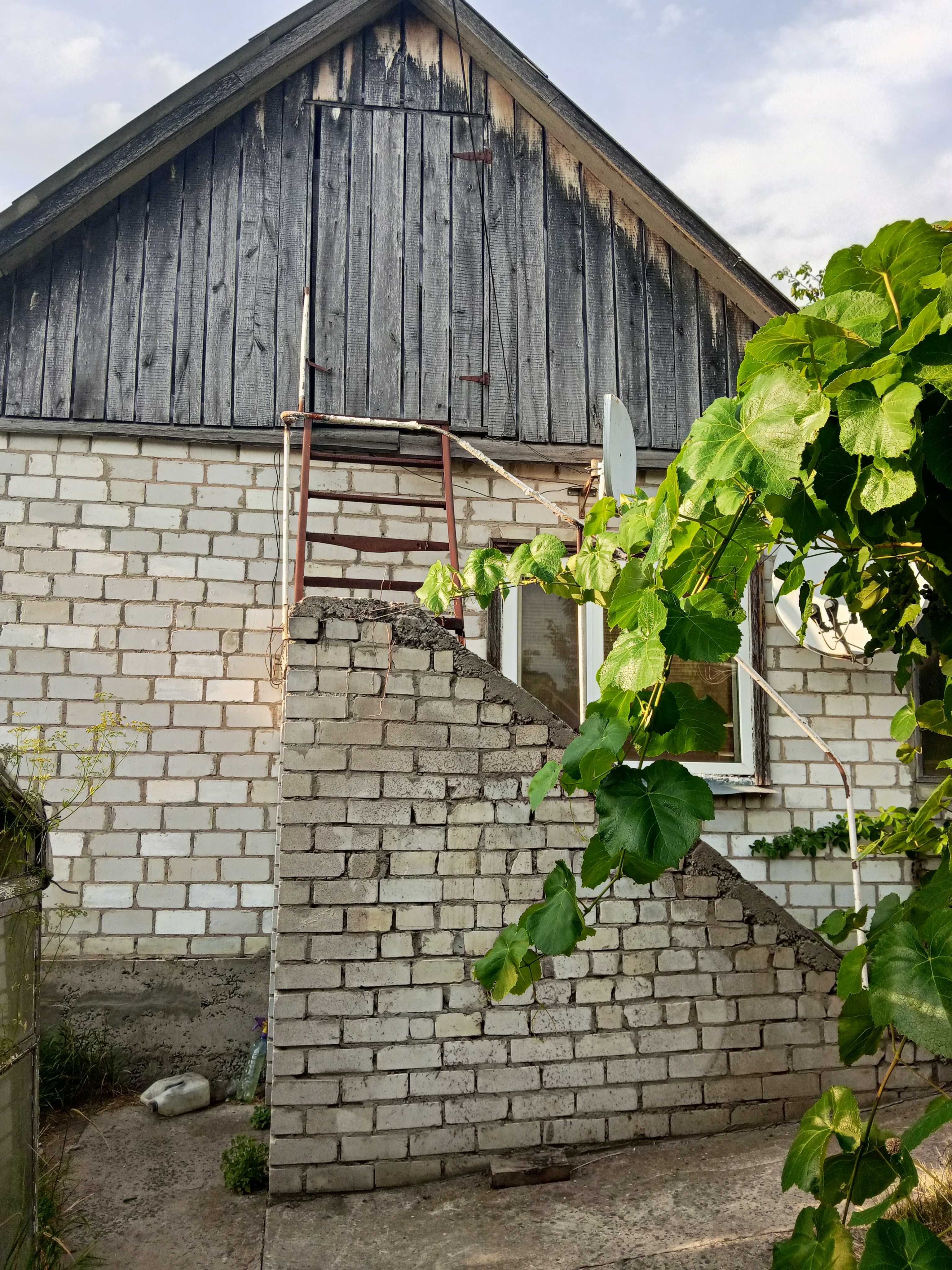Будинок в селі Будки