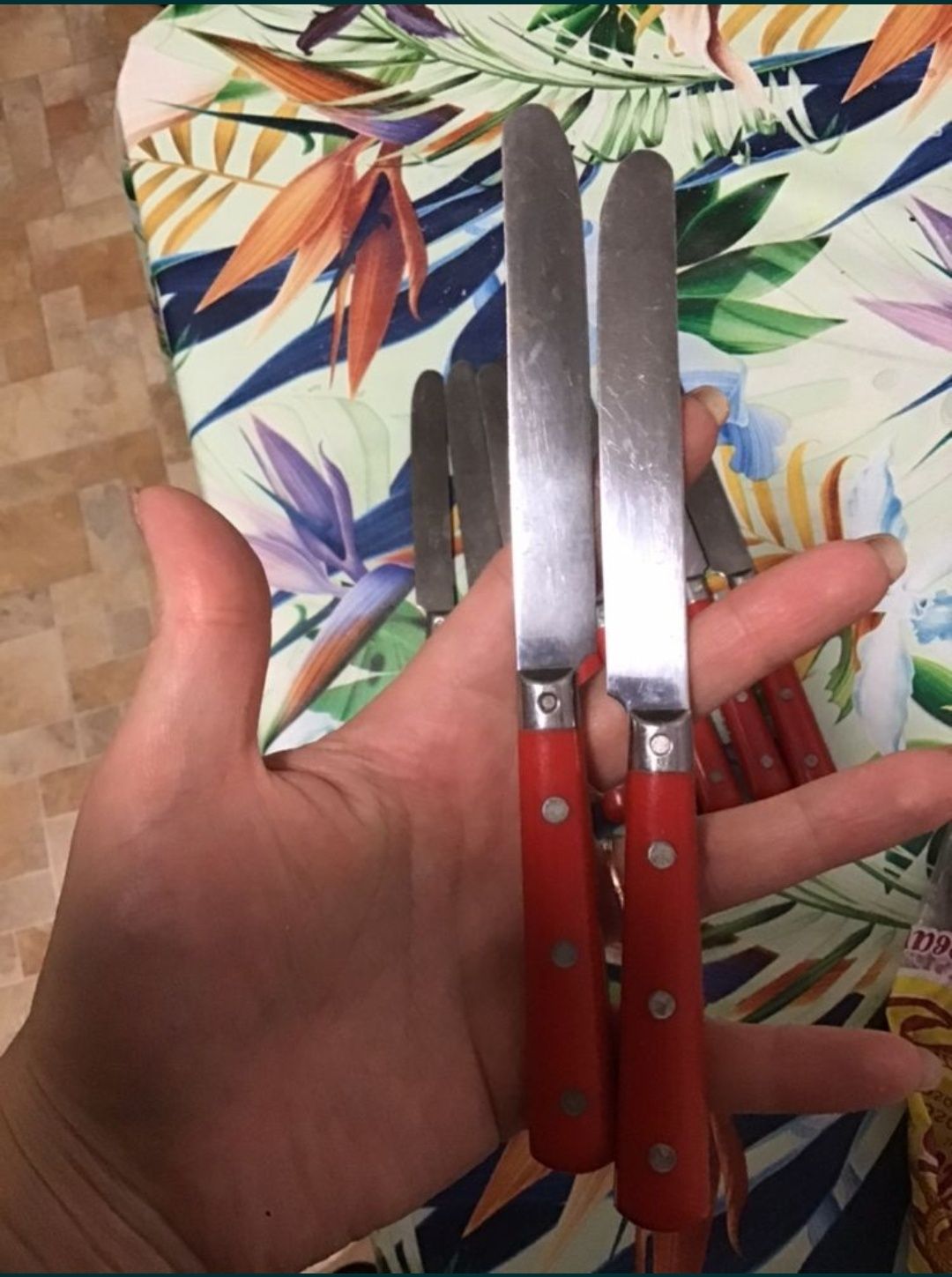 Seed inox France ножі столові вінтажні