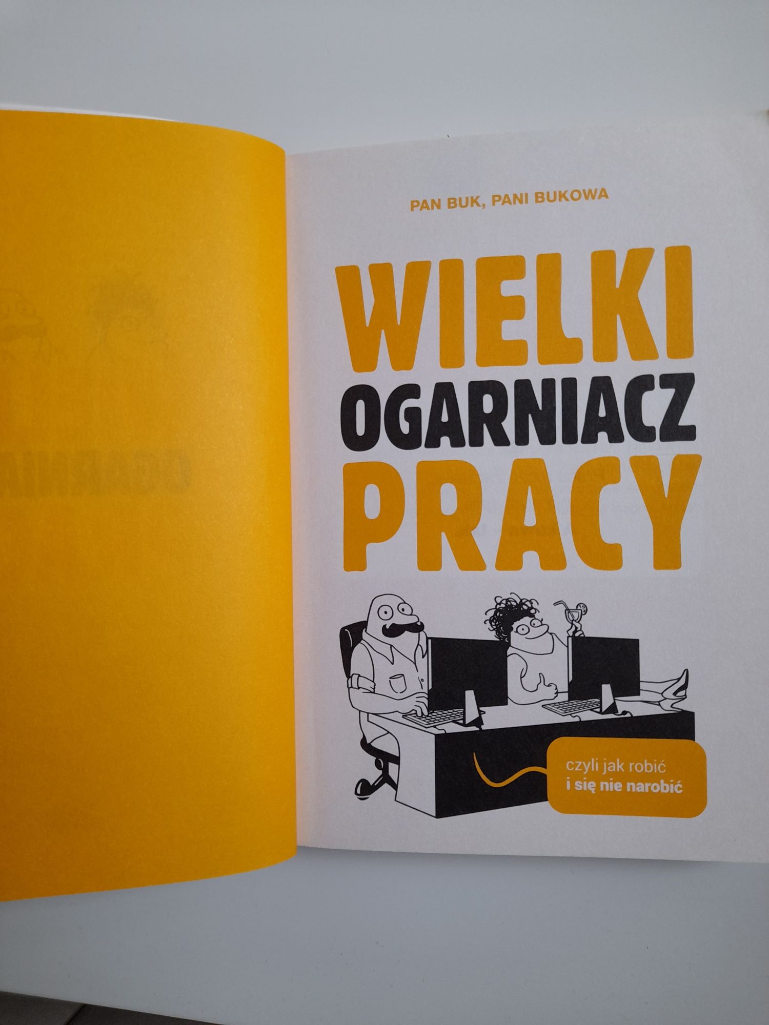 Książka  Wielki ogarniacz PRACY  Pani BUKOWA