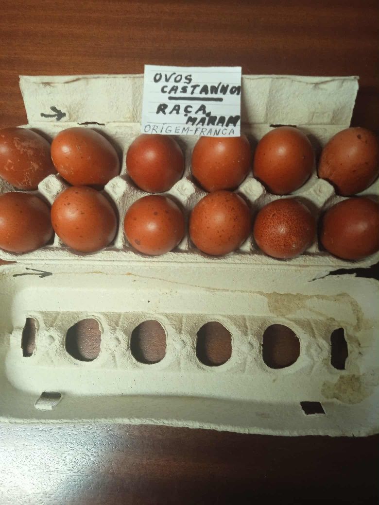 Ovos de galinha.