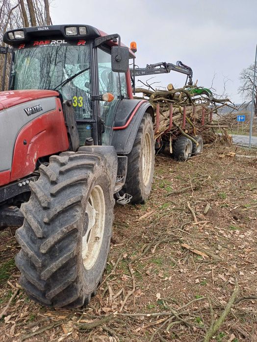Usługi leśne (transport hds,koszenie,mulczer,zrywka i ścinka drewna)