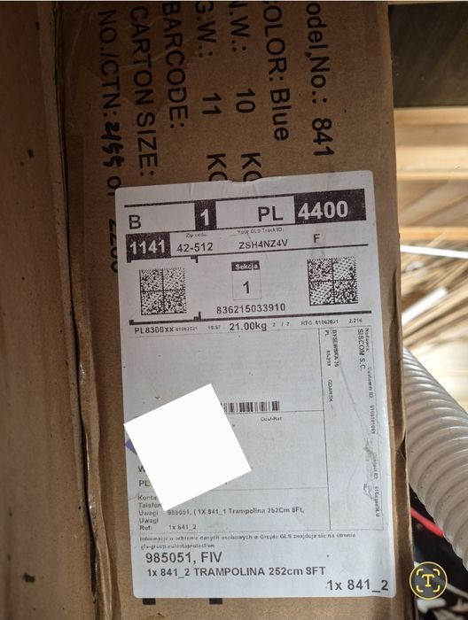 Trampolina Fun Fit 252 8Ft