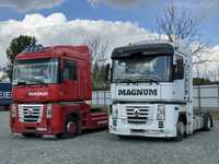 Renault Magnum /standard/ lowdeck