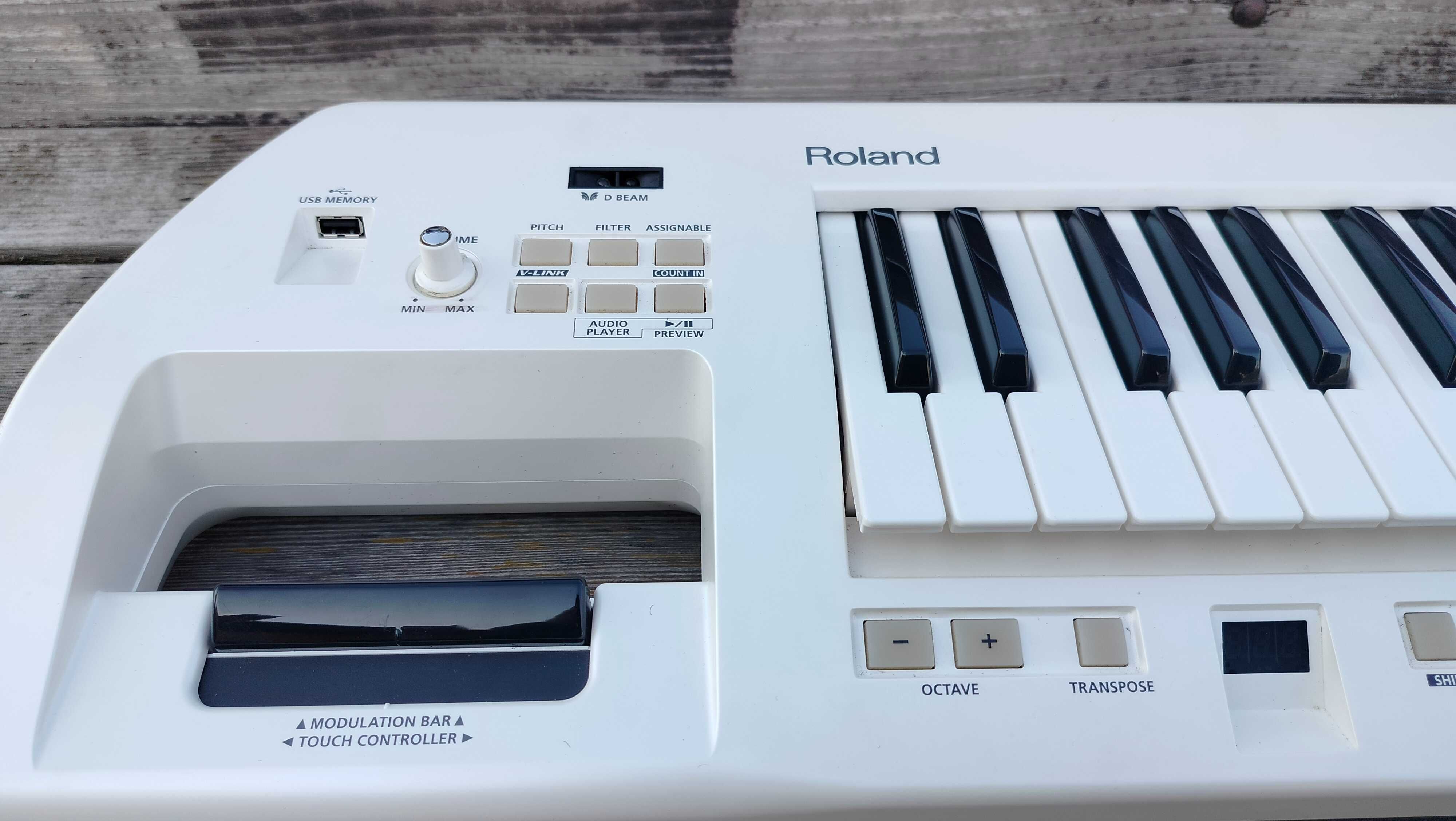 Roland Lucina ax 09