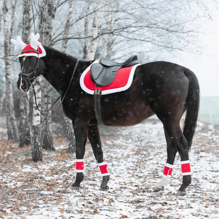 Czaprak York świąteczny Pony