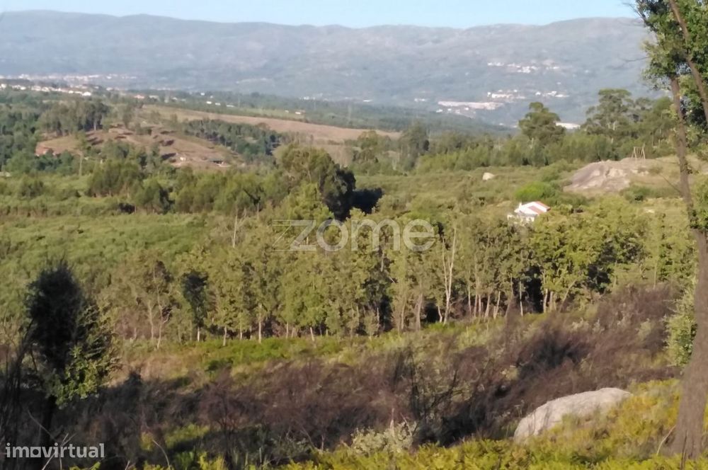 Terreno 8.533m2 em Sameice - Seia