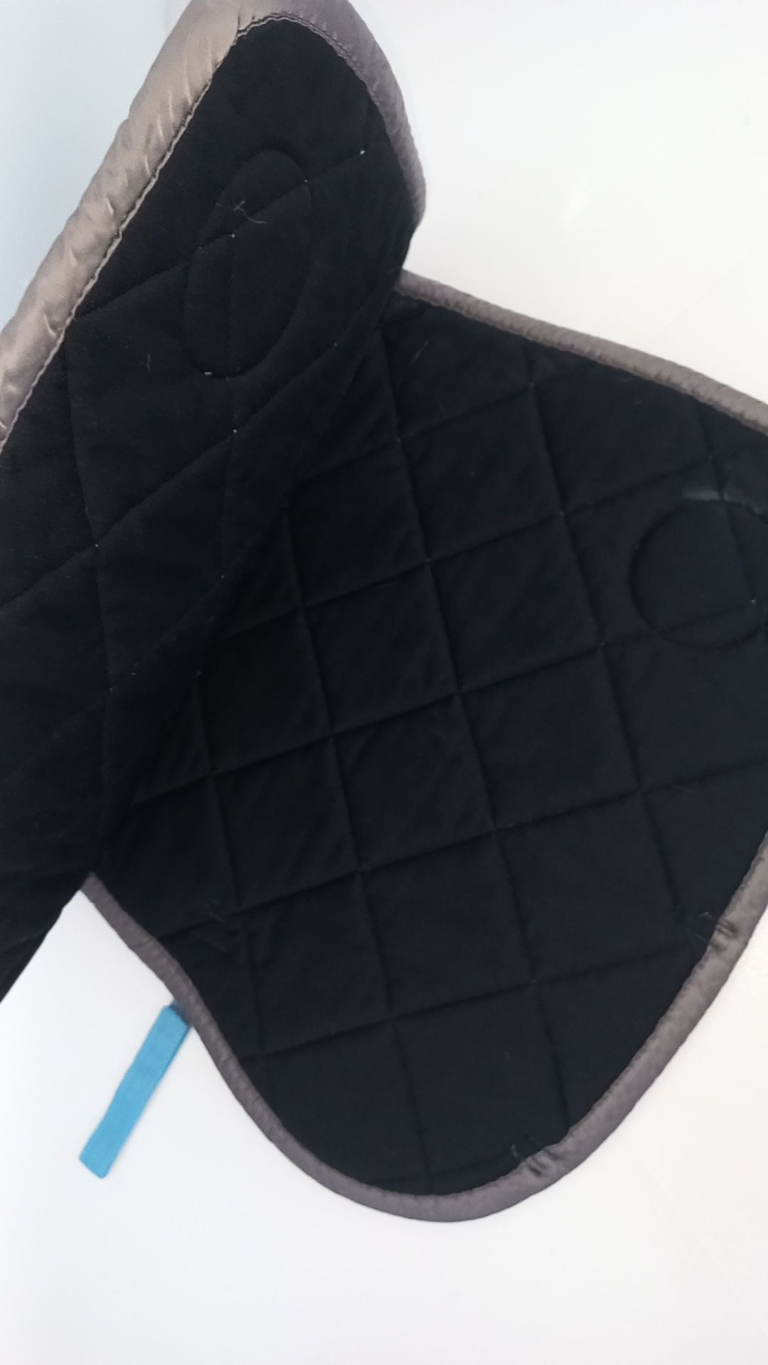 czaprak eskadron youngstar peacock glossy 2019/2020