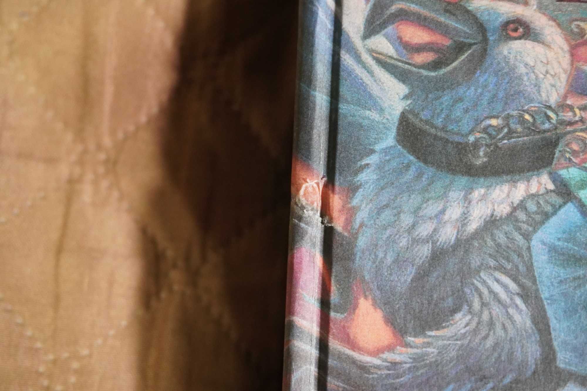 Книги Гаррі Поттер "В'язень Азкабану" та "Келих Вогню"