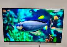 Tv Sony Bravia 55"