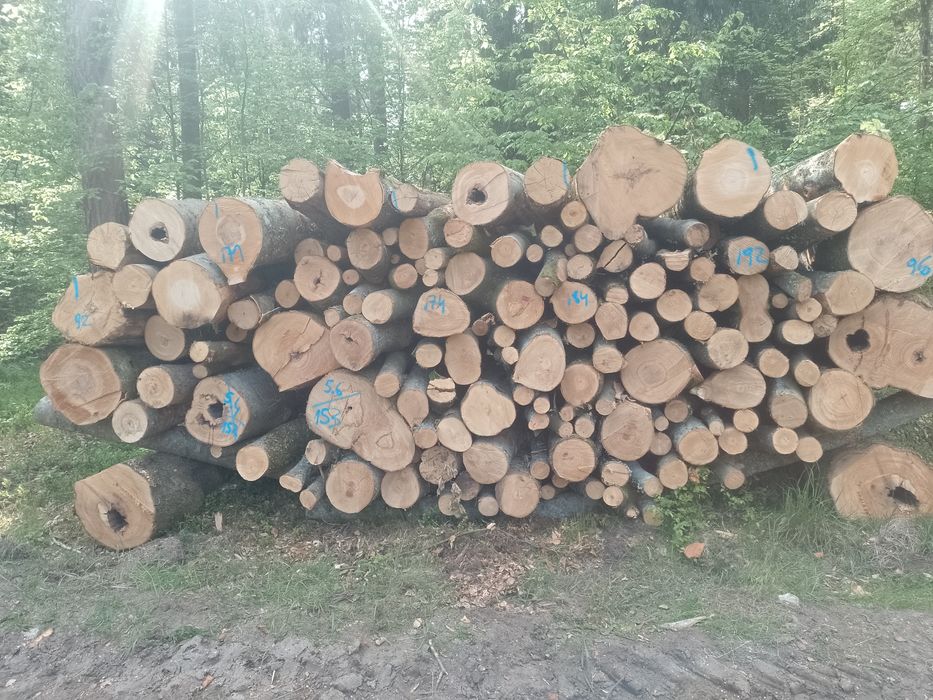 Drewno opałowe i kominkowe różne gatunki