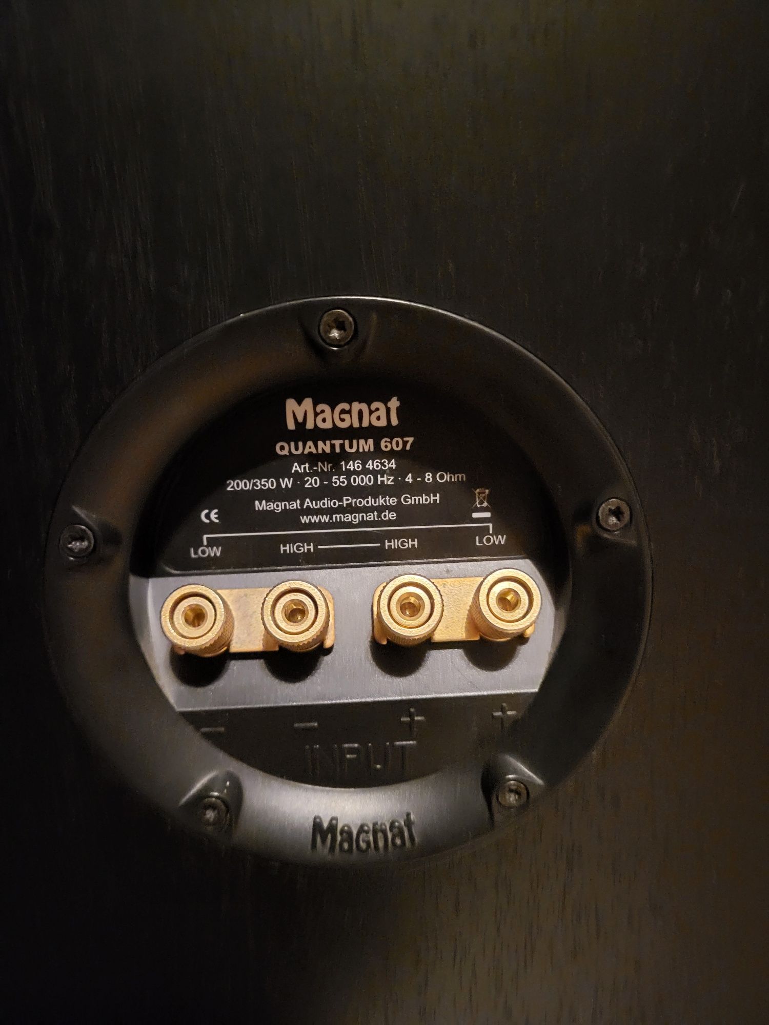 Акустика Magnat Quantum 607