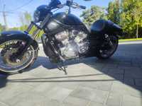 Harley Davidson V- rod 2008 rok