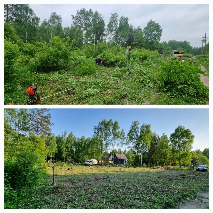 Cięcie przycinanie wycinka drzew Pabianice Łódź Aleksandrów Ksawerów