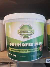 Pulmofis Plus na kaszel, choroby płuc u trzody, bydła, koni kóz owiec