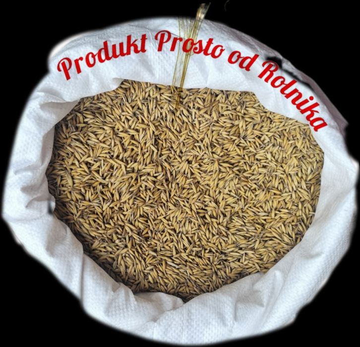 Owies pakowany 20kg worek wysyłka Inpost