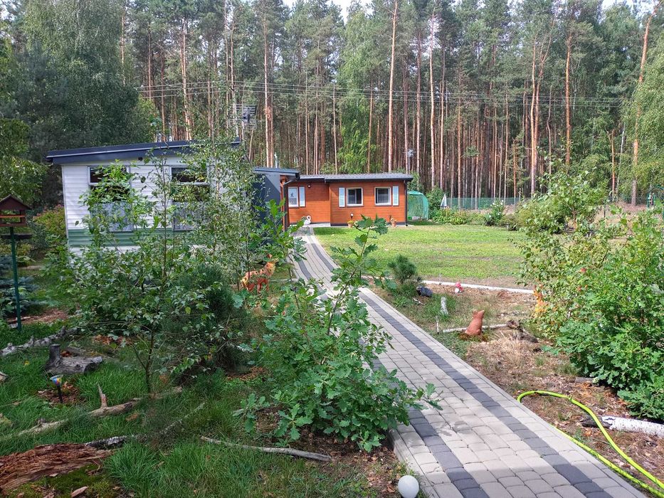 Działka budowlana zagospodarowana, domek, Jeziorsko, Skęczniew