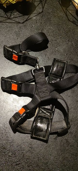 Karlie szelki samochodowe dla psa rozm. S