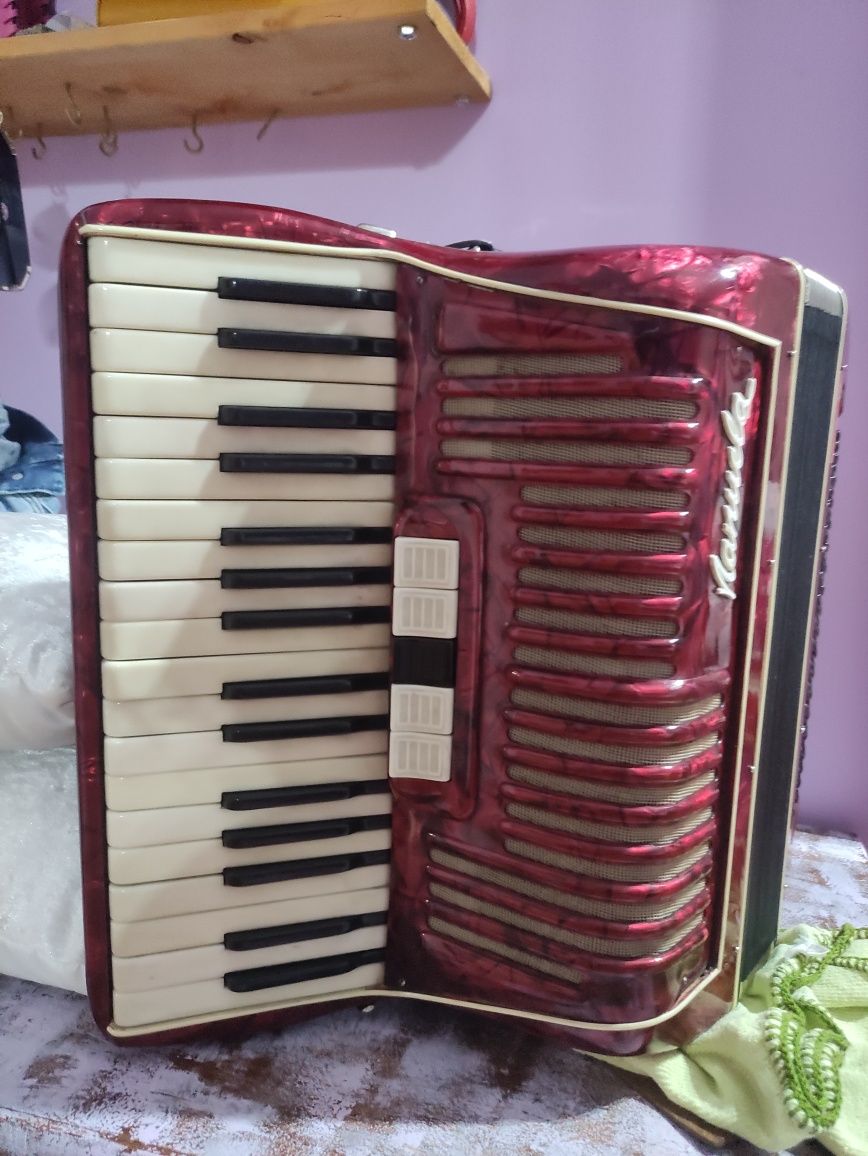 Acordeon bom preço.