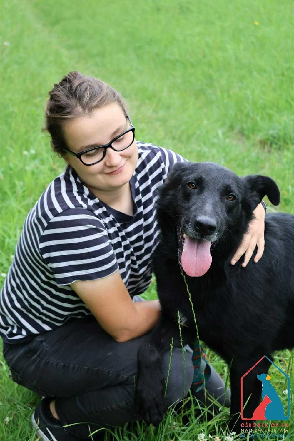 PIĘKNY, KOCHANY, duży psiak - pełen miłości i radości życia - adoptuj