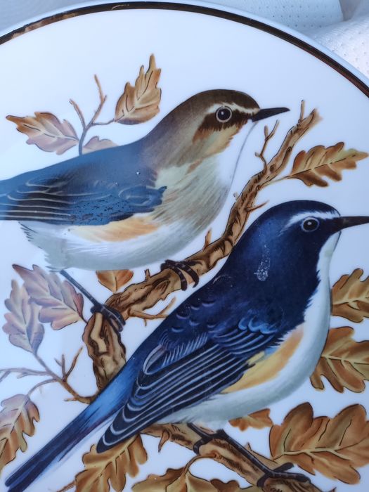 Prato decorativo em porcelana pintado à mão