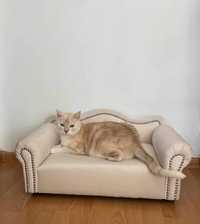 Kanapa sofa posłanie legowisko dla psa York Mops Maltańczyk Kot