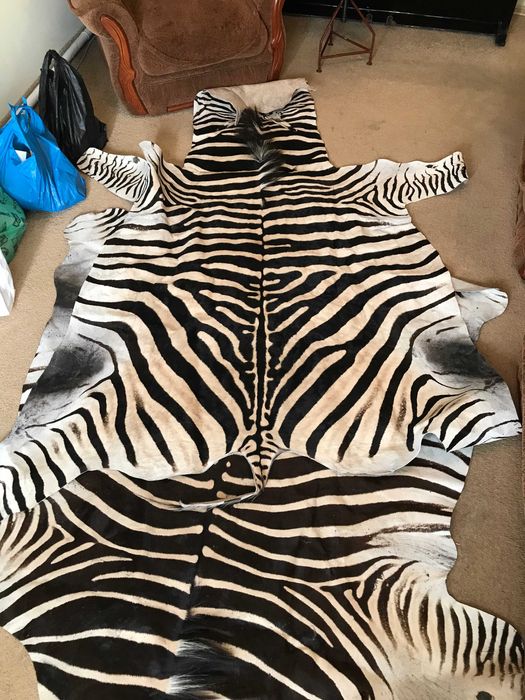 шкіра зебри з ПАР/ шкура зебры из ЮАР