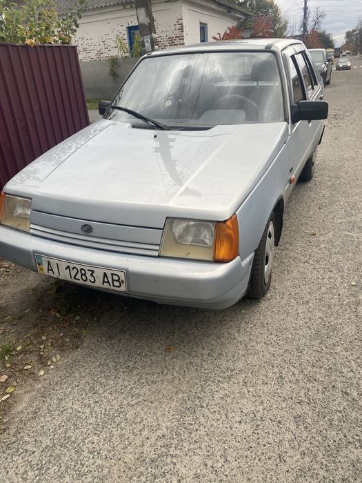 Славута сіра.