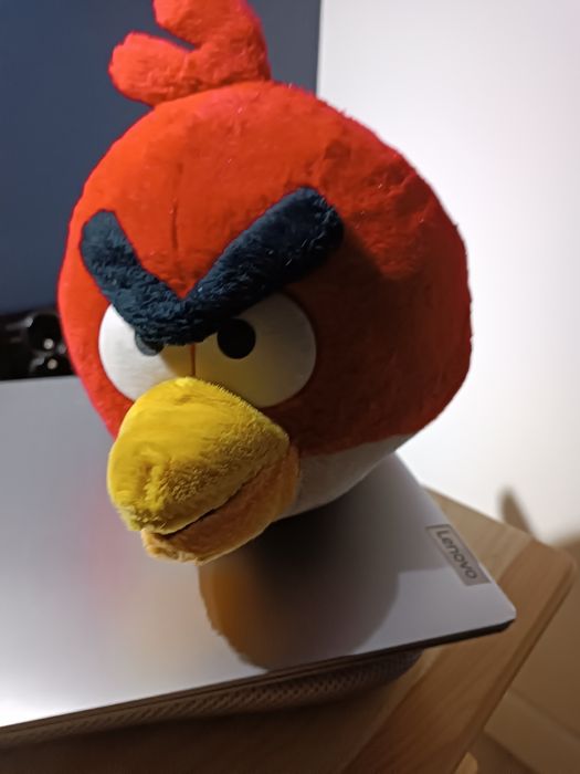 Angry birds pluszak