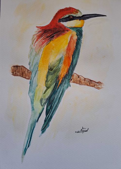 25€/cada Pintura aguarelas "birds"