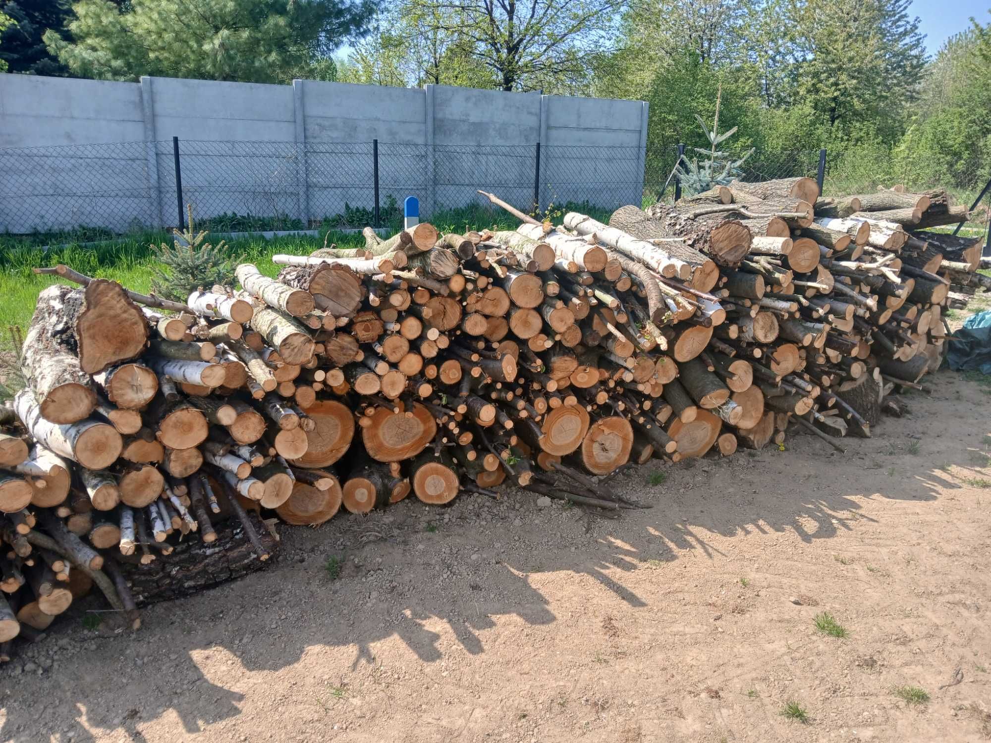 drewno opałowe, brzoza, trzesnia, jesion, klon