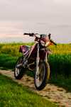 Aprilia SX50 2008