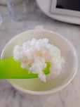 Kefir de leite (flor de iogurte)