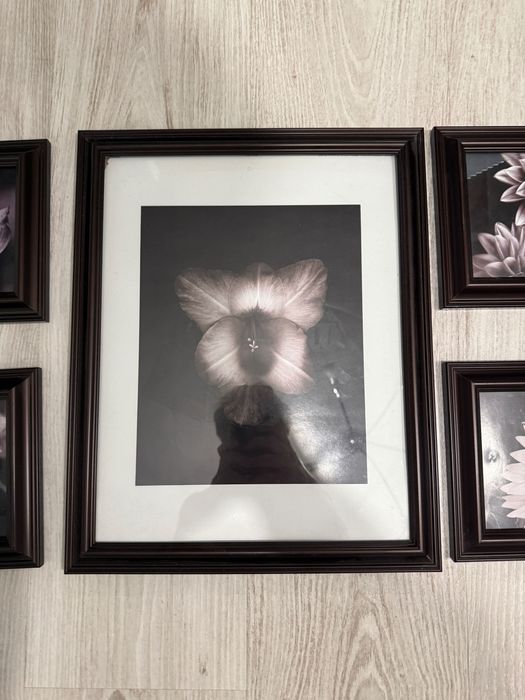 Zestaw ramek do powieszenia na ścianie