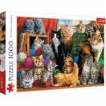 Puzzle 1000 elementów. Kocie spotkanie. Trefl