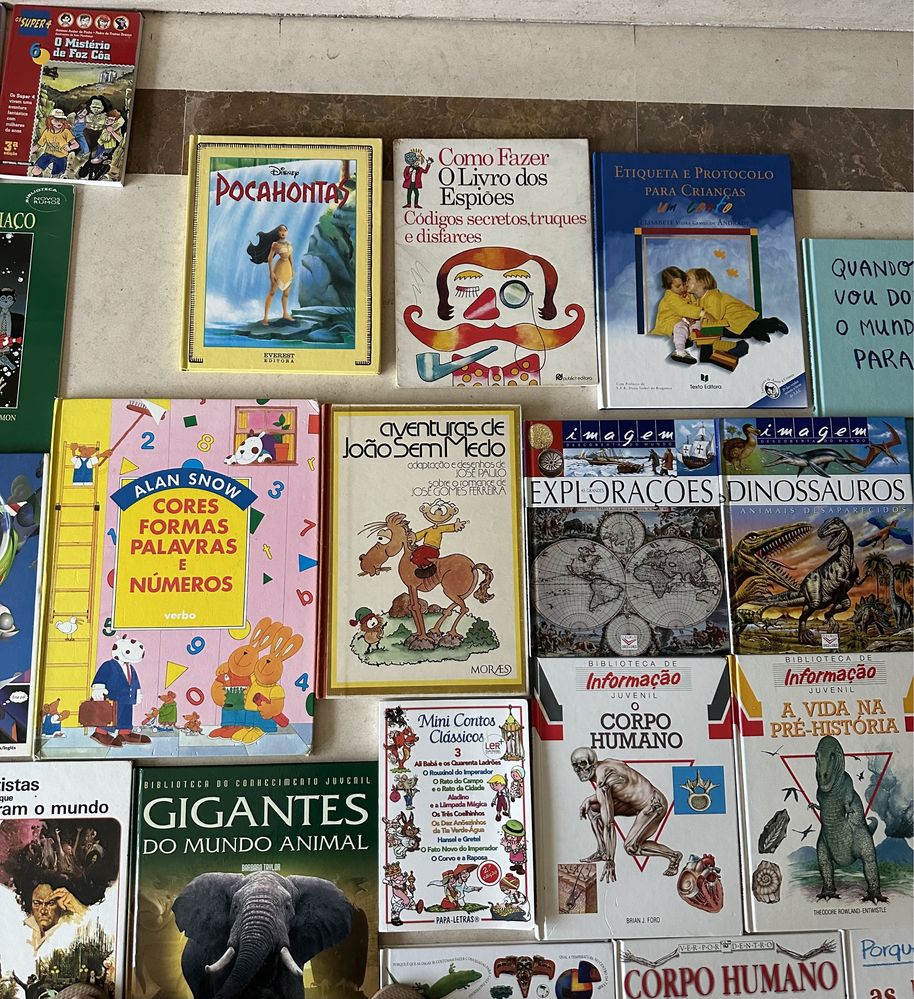 Vendo 44 livros infanto juvenis