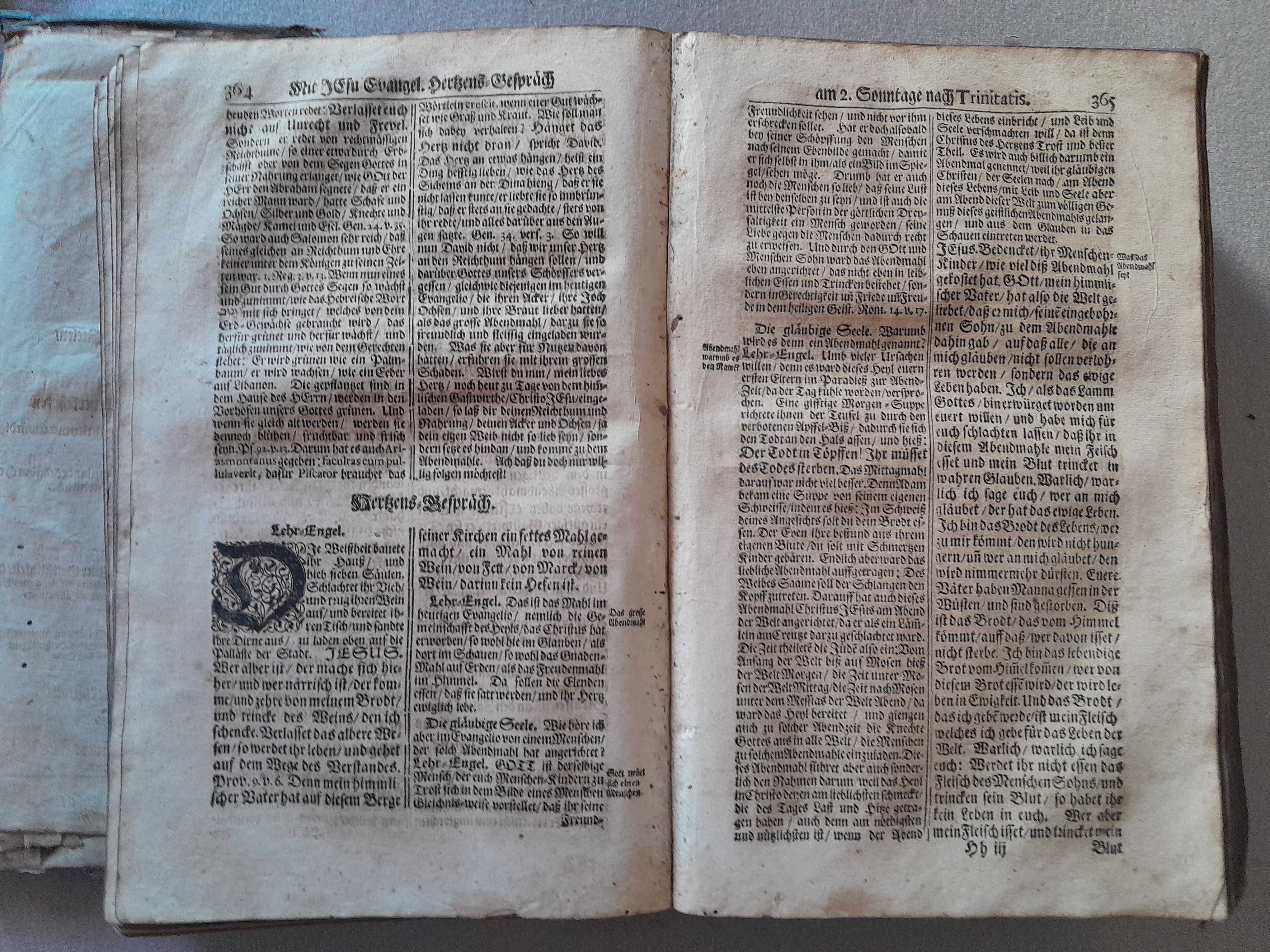 Starodruk - Evangelischer Herzensschatz 1697