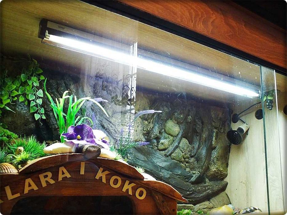 Duże Terrarium z szafką + Żółw / Żółwie z dokumentami i wyposażeniem