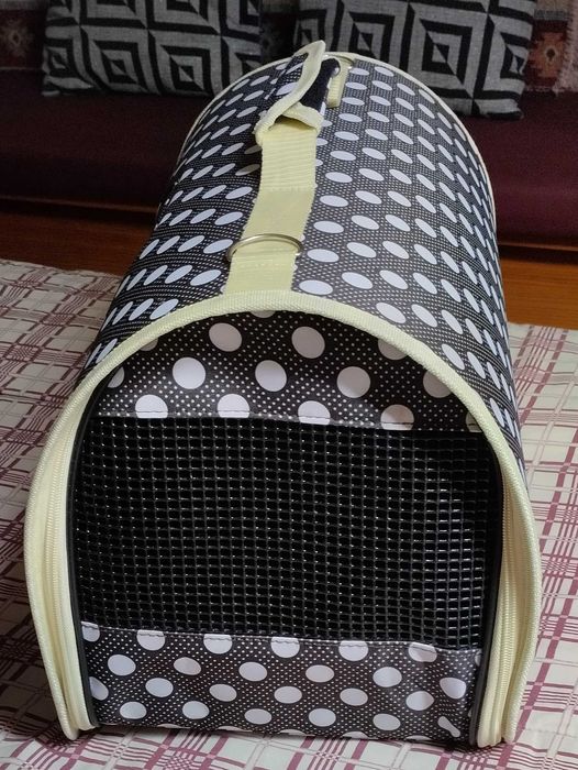 Transportadora nova