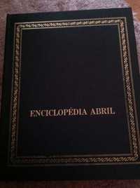 Lote Enciclopédias Abril 12 livros d cultura geral
