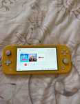 Nintendo switch lite