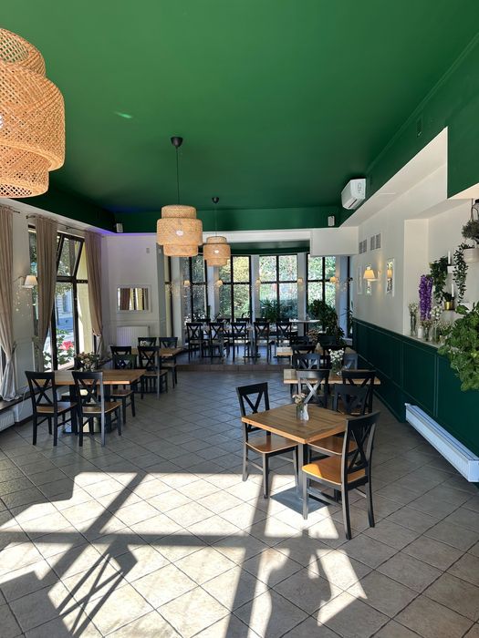 Odstąpię lokal gastronomiczny Śródmieście