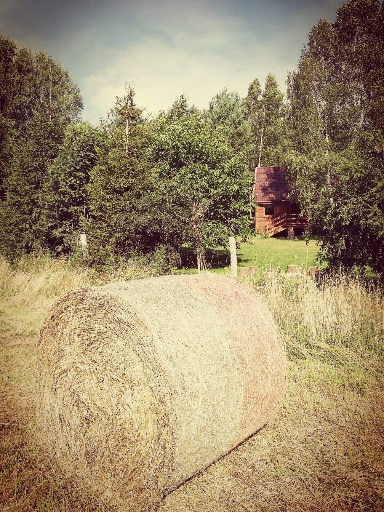 Wolne terminy  9-15 sierpnia samodzielny domek Zielona Dolina Spokój c