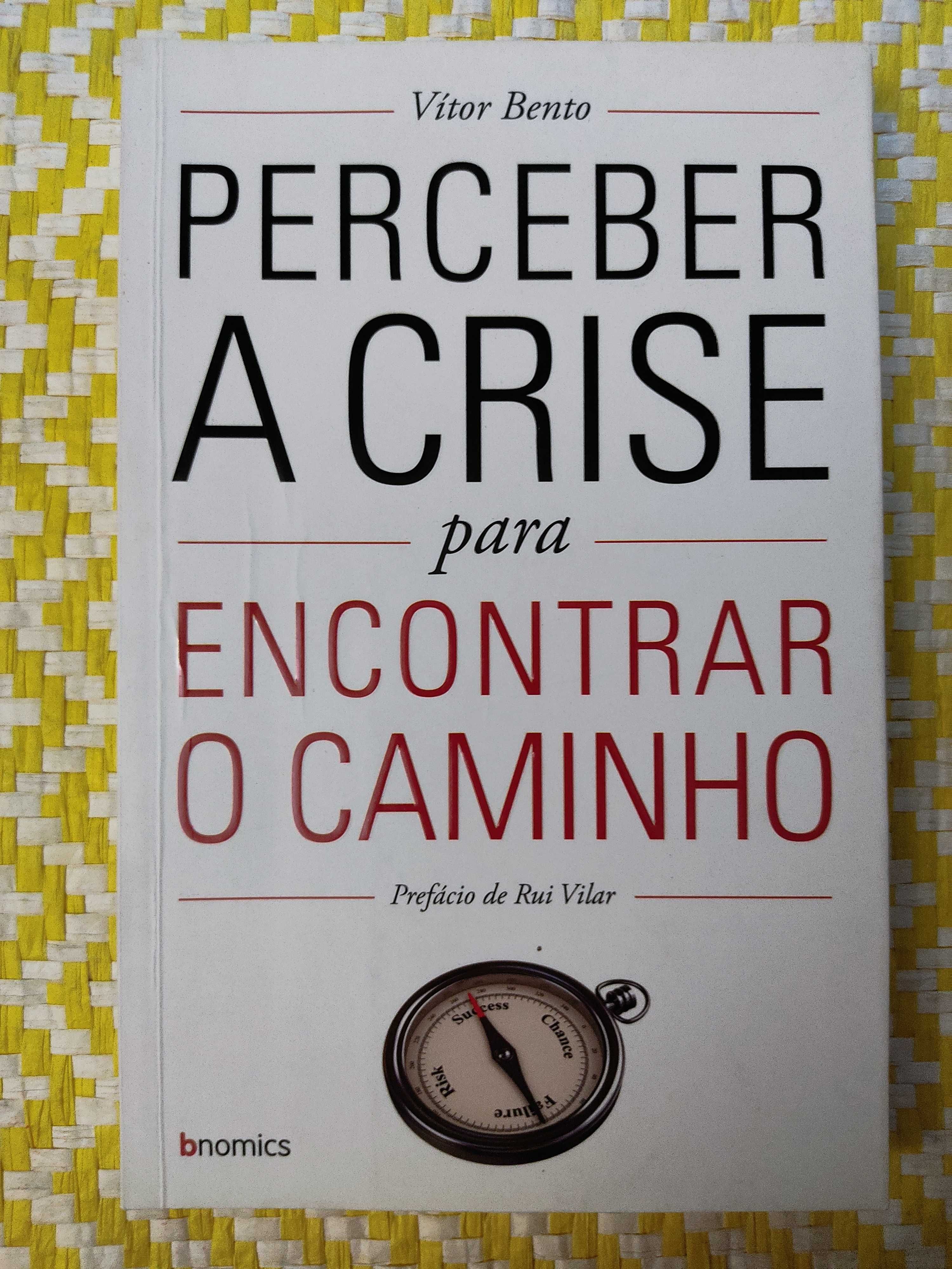 Perceber a Crise para Encontrar o Caminho
de Vítor Bento
