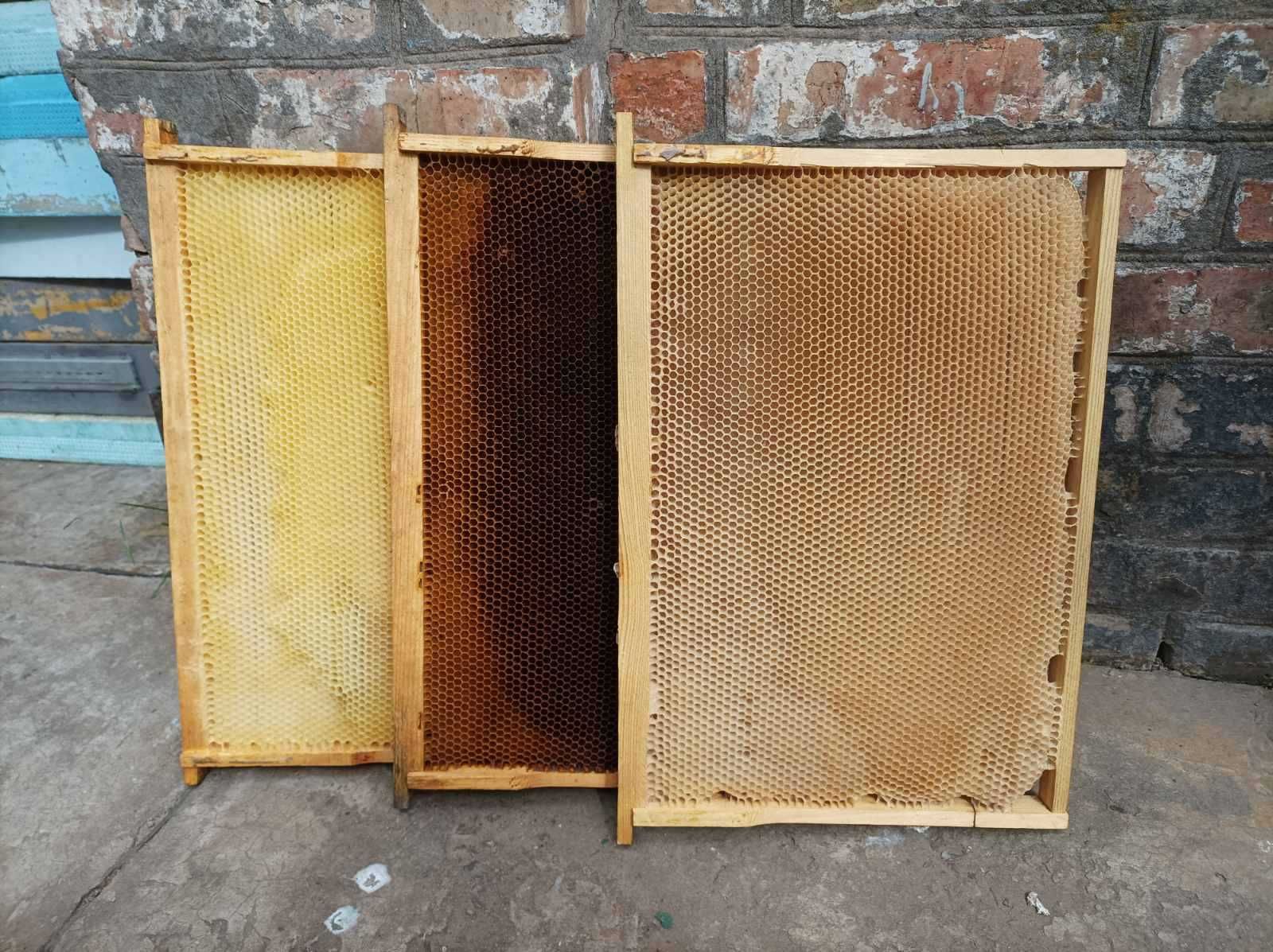Продам суш для пчел