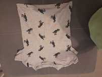 Koszulka T-shirt szara dino 110/116