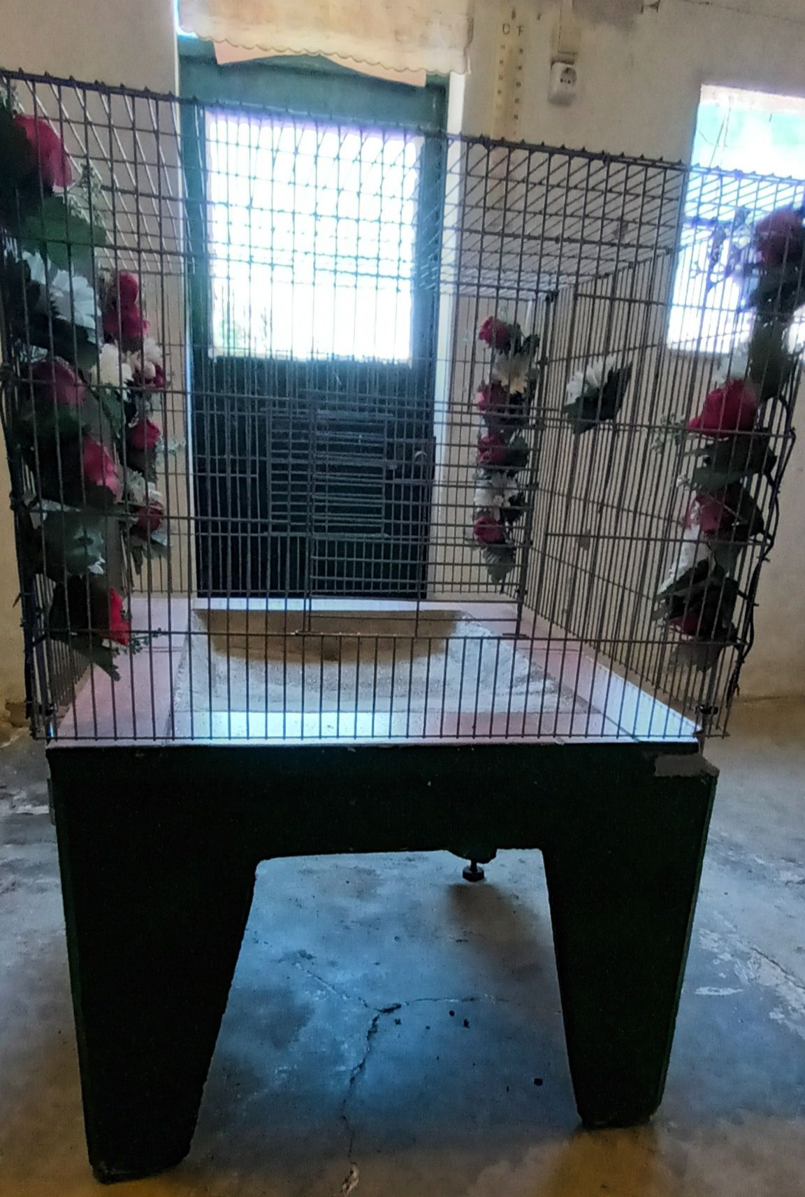 Banheira para passaros