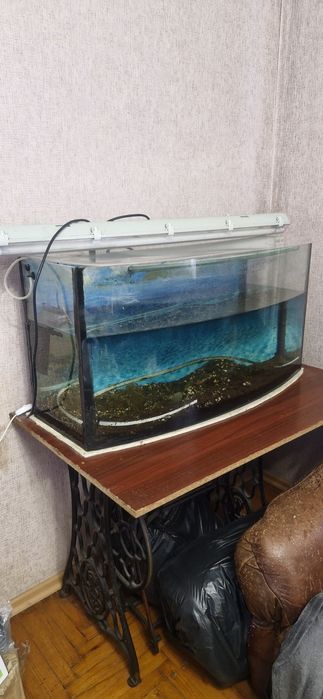 Акваріум "Природа" 190 літрів із панорамним вигнутим склом. Торг!
